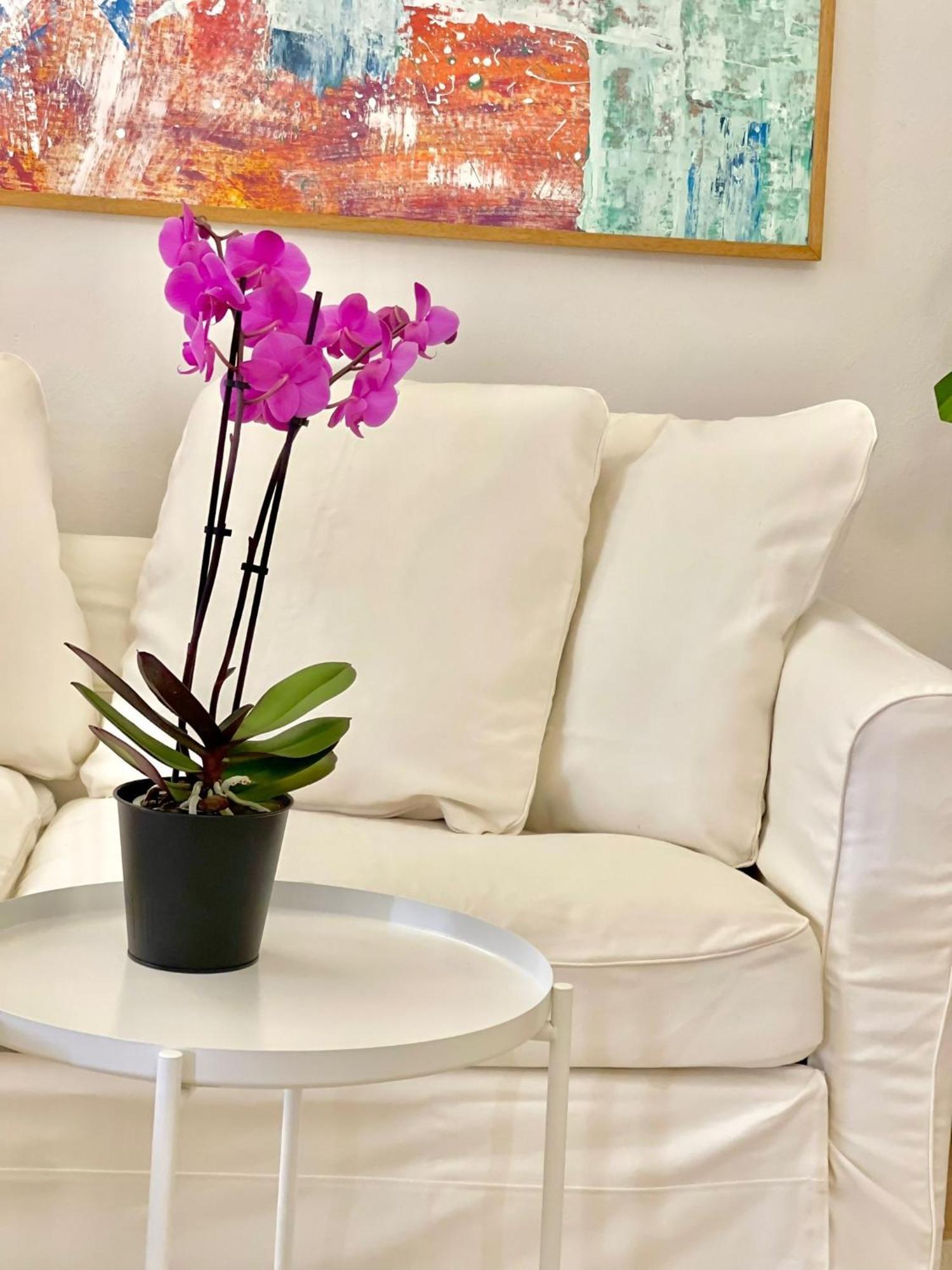 Susannas Lovely New Apartment ليفورنو المظهر الخارجي الصورة